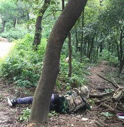 国产小森林野战在线播放,热血激战，在线热血盛宴