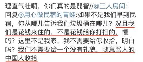 阿宾日房东国产在线观看,国产悬疑巨制，在线观看揭秘神秘故事